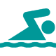 swimg-icon